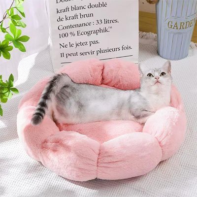 Coussin pour chat | Royal Confort - Du CĂąlin Chat