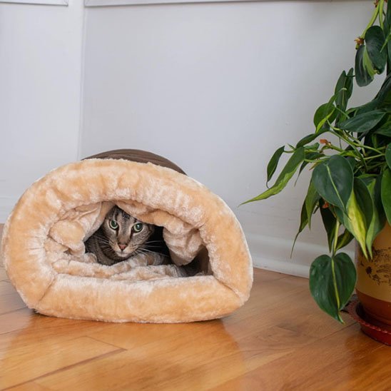 Coussin chat | Ultra - doux - Du Câlin Chat
