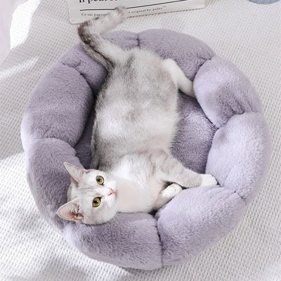 Coussin pour chat | Royal Confort - Du Câlin Chat
