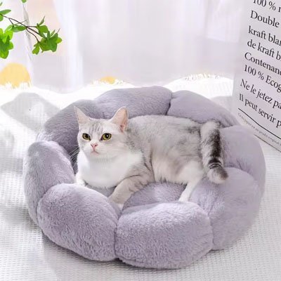 Coussin pour chat | Royal Confort - Du Câlin Chat