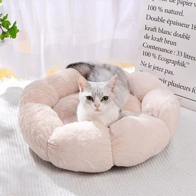 Coussin pour chat | Royal Confort - Du Câlin Chat