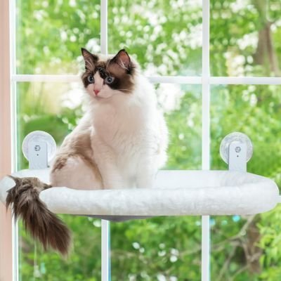 Hamac pour chat de fenêtre | Douceur Féline - Du Câlin Chat