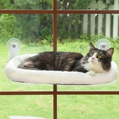 Hamac pour chat de fenêtre | Douceur Féline - Du Câlin Chat