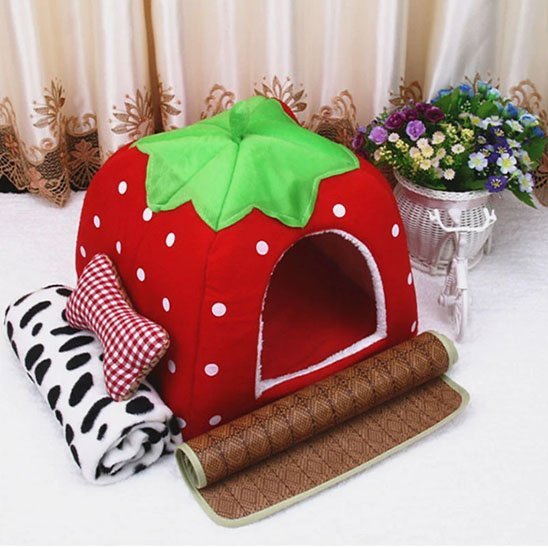 Niche pour chat | Design Confort - Du Câlin Chat