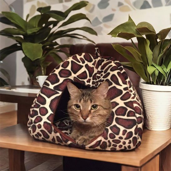 Niche pour chat | Design Confort - Du Câlin Chat