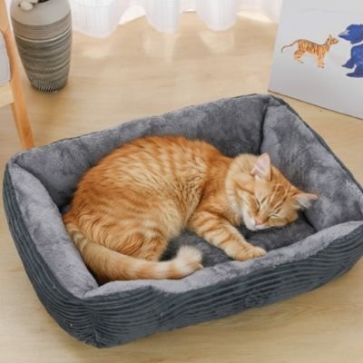 panier chat cozy design gris avec chat roux