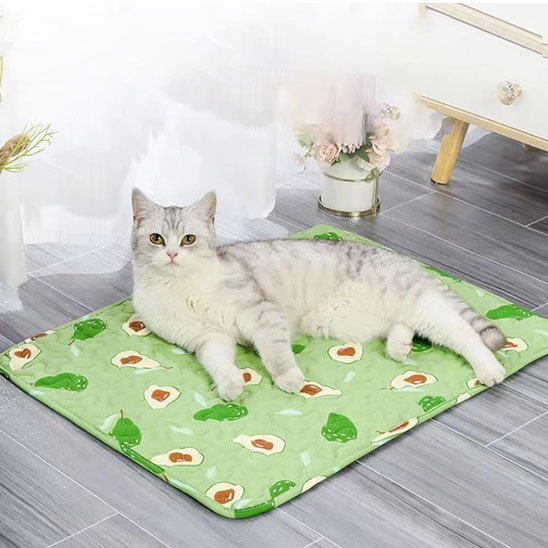 Tapis Chat | UltraDoux - Du Câlin Chat