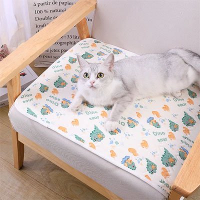Tapis rafraichissant Chat | PawCool - Du Câlin Chat