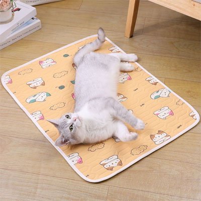 Tapis rafraichissant Chat | PawCool - Du Câlin Chat