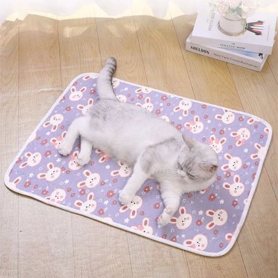 Tapis rafraichissant Chat | PawCool - Du Câlin Chat