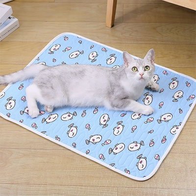 Tapis rafraichissant Chat | PawCool - Du Câlin Chat